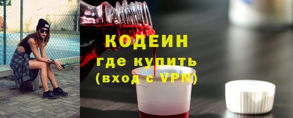 молекула духа Богданович