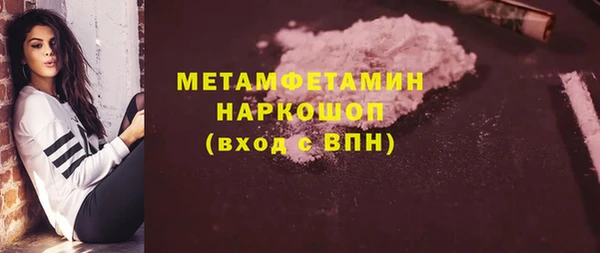 молекула духа Богданович