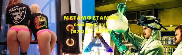 молекула духа Богданович
