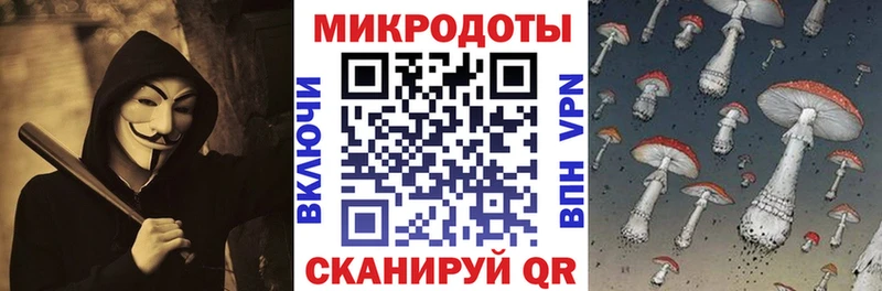 Псилоцибиновые грибы GOLDEN TEACHER  Вяземский 