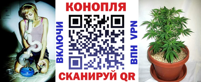 наркотики mega ССЫЛКА Конопля SATIVA & INDICA Вяземский